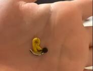 Любительский хоккей в Минске, записаться на хоккей